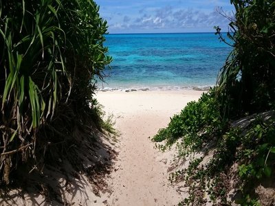 🏖️ 나가마하마 해변 (나가마하마 비치 코스트)